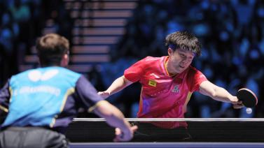 篮球界的热 篮球界的热