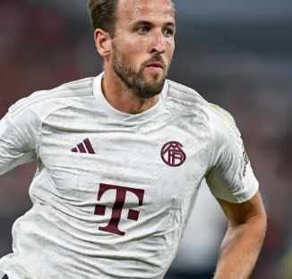 无数年轻球 无数年轻球