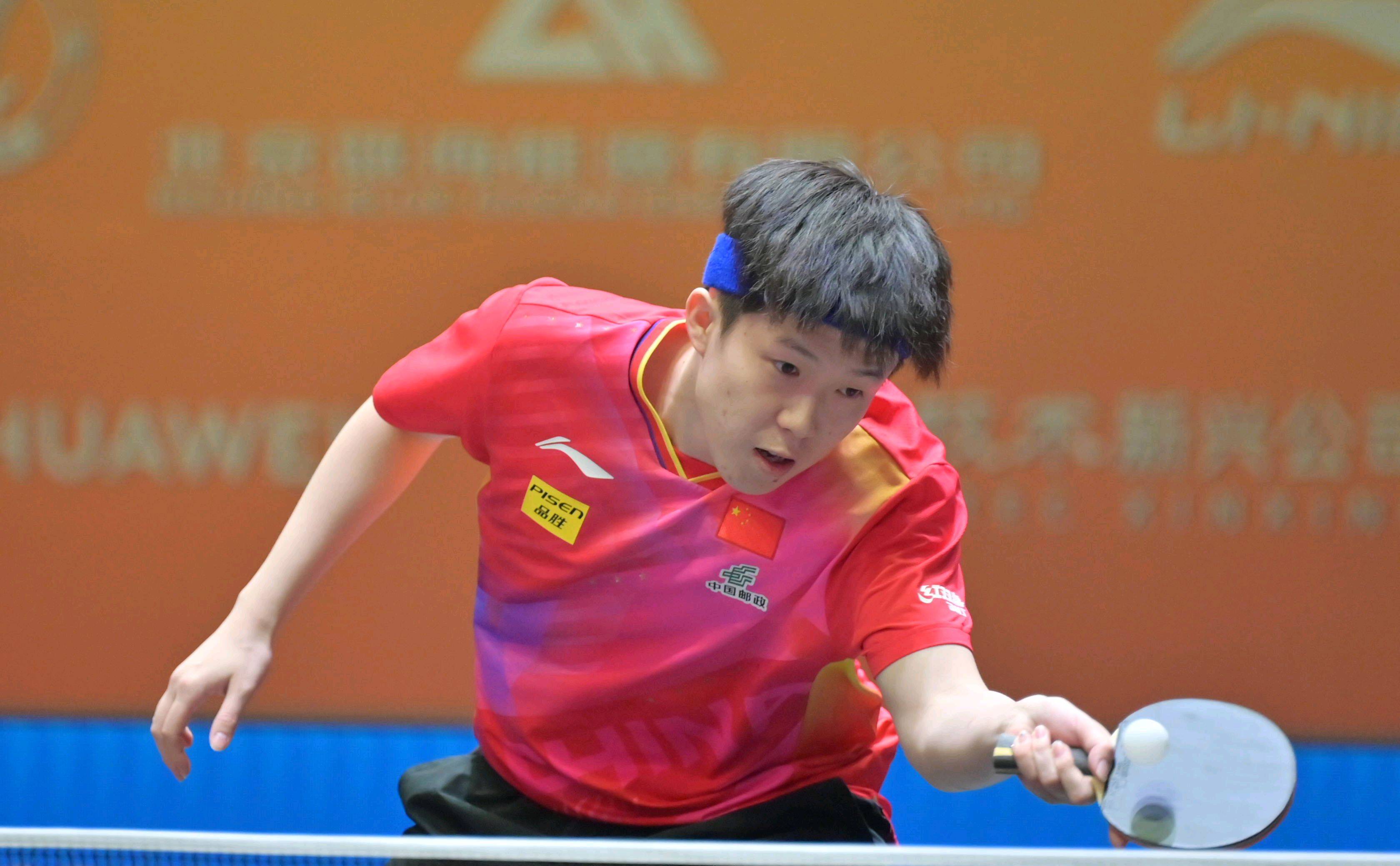 毛球生涯 毛球生涯