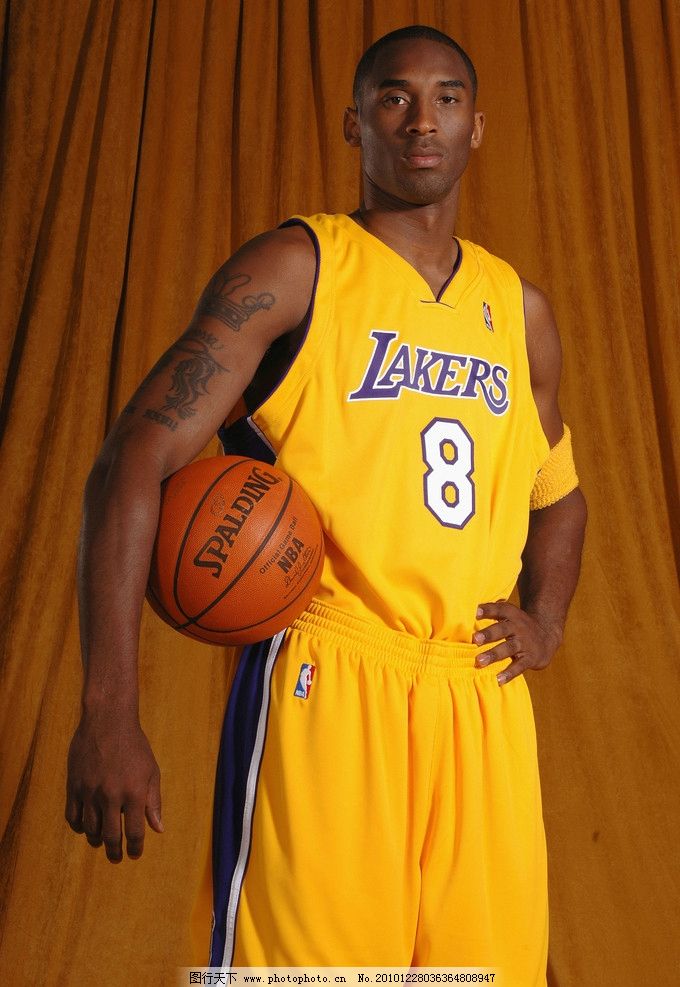 稳定射手 稳定射手